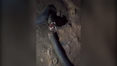شرطة البصرة تطيح بمتهم حاول سرقة كيبلات كهربائية