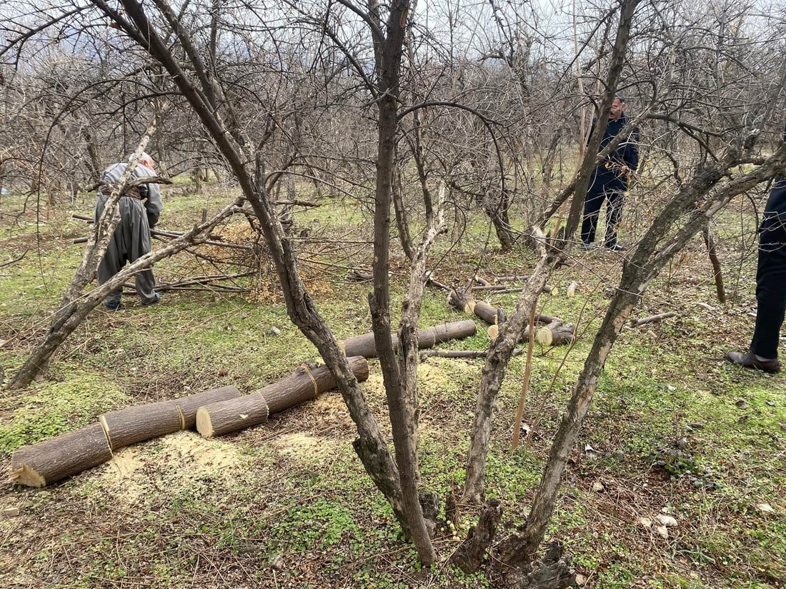 ژینگه‌ى هه‌ڵه‌بجه‌ رێكارى یاسایی به‌رامبه‌ر دوو سه‌رپێچیكار ده‌گرێته‌ به‌ر