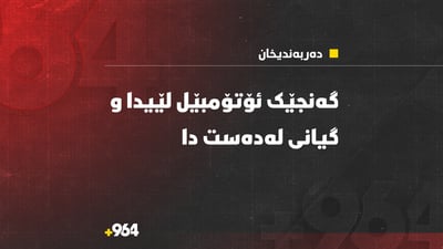 ئەو گەنجەی لە دەربەندیخان ئۆتۆمبێل لێیدا لە سلێمانی گیانی لە دەستدا