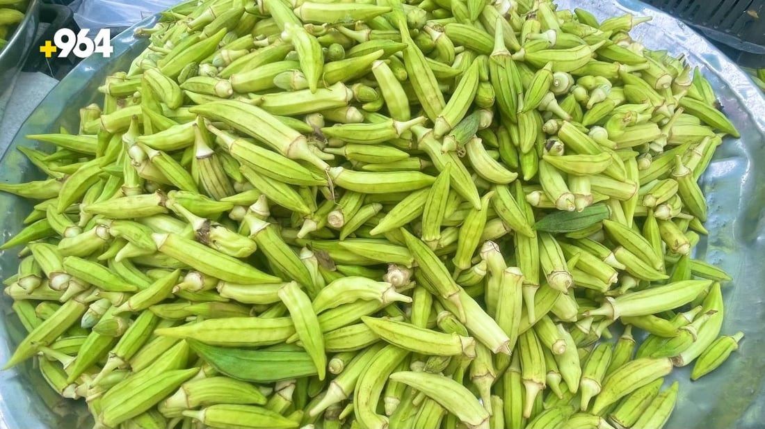 صور: موسم “باميا سهيل” بدأ في البصرة والزبائن تذوقوا القطفة الأولى