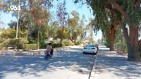 صور: طويريج تضع حراساً على 75 شجرة معمرة لحمايتها من الح...