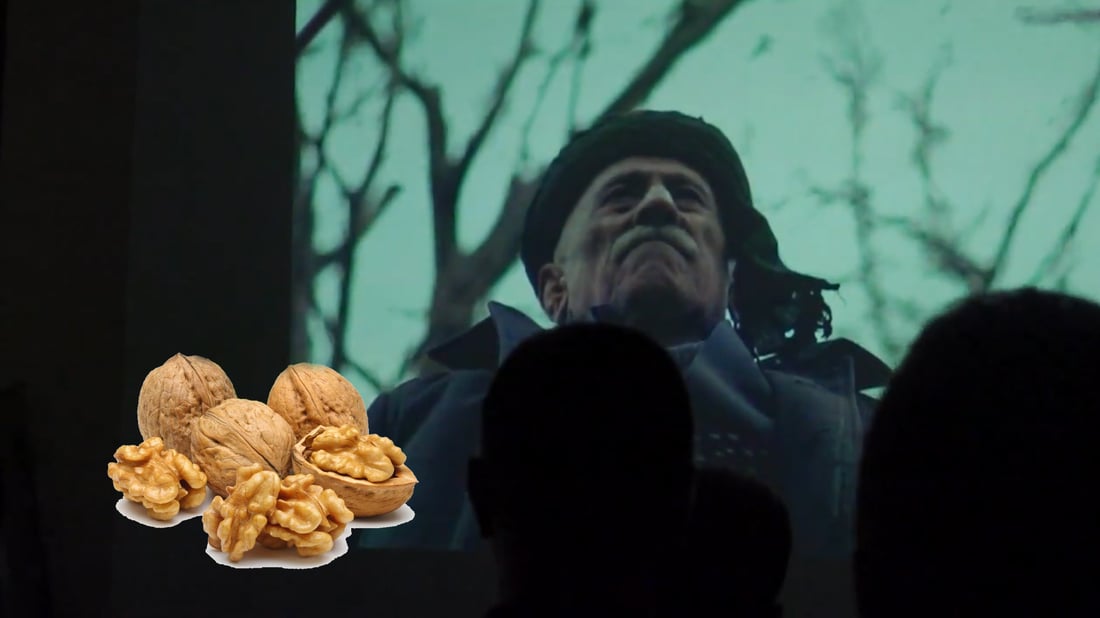 له‌ هه‌ڵه‌بجه‌ فیلمێكی دۆكیۆمێنتارى نمایشكرا گوێز پاڵه‌وانه‌كه‌ى بوو