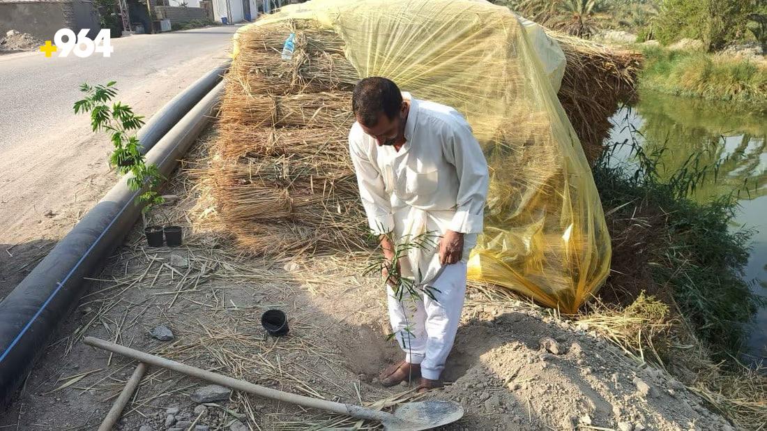 964mediaصورة من منصة (شبكة): 