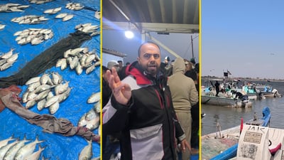 “ولمة” الزبيدي بدأت والصيادون يعودون لخور عبدالله بعد هدنة الحرب (فيديو)