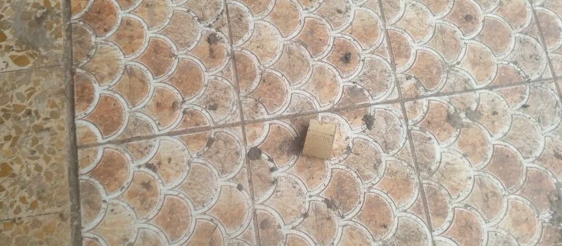 الديوانية: لصوص اقتحموا محلات في سومر وسرقوا حتى كاميرات المراقبة