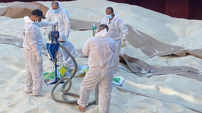 برنجی ئەم مانگەی بایەعی بە فەلی هاتووە