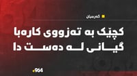 کچێک بە تەزووی کارەبا گیانی لەدەست دا