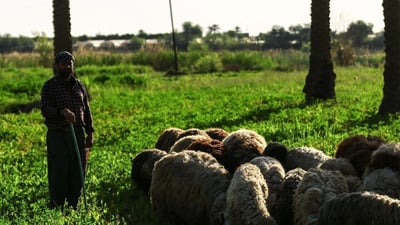 چەند رێكارێك بۆ کۆنتڕۆڵکردنی تای خوێنبەربوون