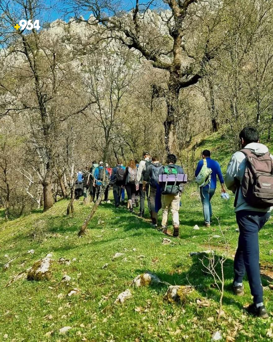 964mediaصورة من منصة (شبكة): 