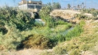 المياه الثقيلة تضع قضاء المدينة في دائرة خطر 