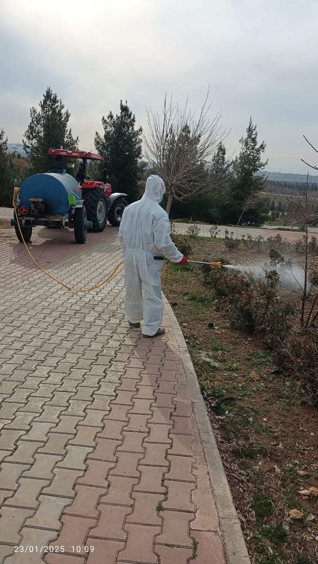 هەواری شار دژ بە گەرای کرمی حەفار دەرمانڕێژی پارکەکەی دەکات