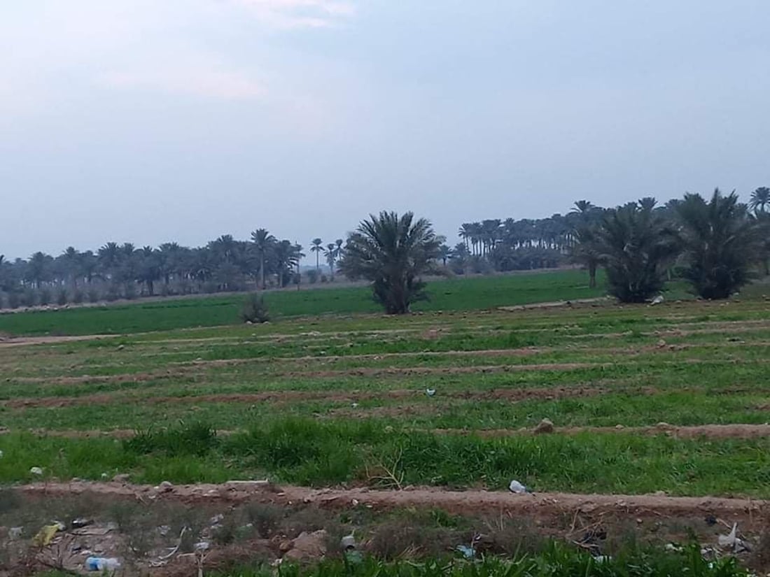ريف الكرمة
