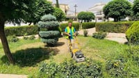 صور: أربيل تضع اللمسات الأخيرة على حملتها الكبرى لتقلي