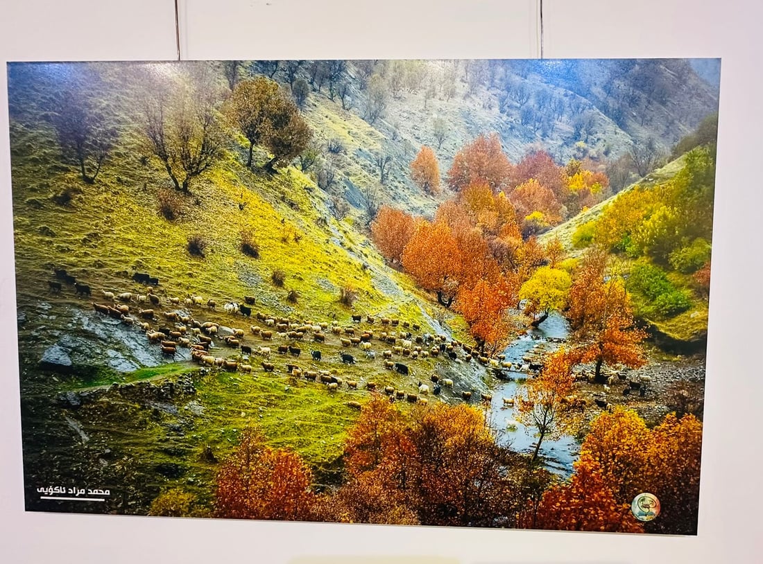 بە 50 وێنە فۆتۆگرافەرەکان سیمای کوردستان نمایشدەکەن
