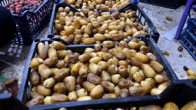 Hit expects 30,000 tonnes of dates as harvest opens