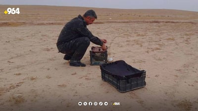 لە کفری کۆمەڵێک باڵندەی دەگمەن گەڕێندرانەوە ناو سروشت