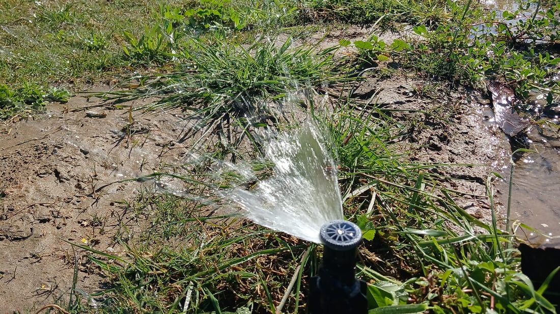 پردێ ده‌ستى به‌ ئاودانى سه‌وزاییه‌كانى كرد