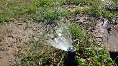 پردێ ده‌ستى به‌ ئاودانى سه‌وزاییه‌كانى كرد