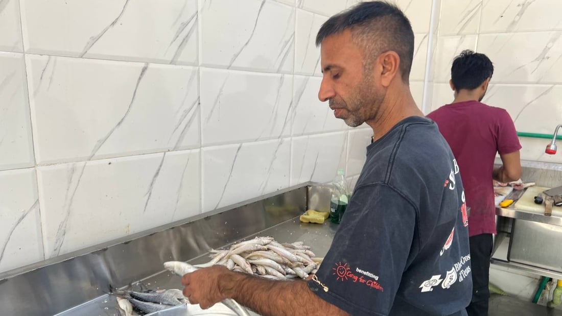 أسماك النهر والبحر متوفرة في الأعظمية.. أسعار 20 صنفاً من محل القبطان (صور)