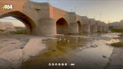 ئەڵوەن چڵکاو خواردوویەتی