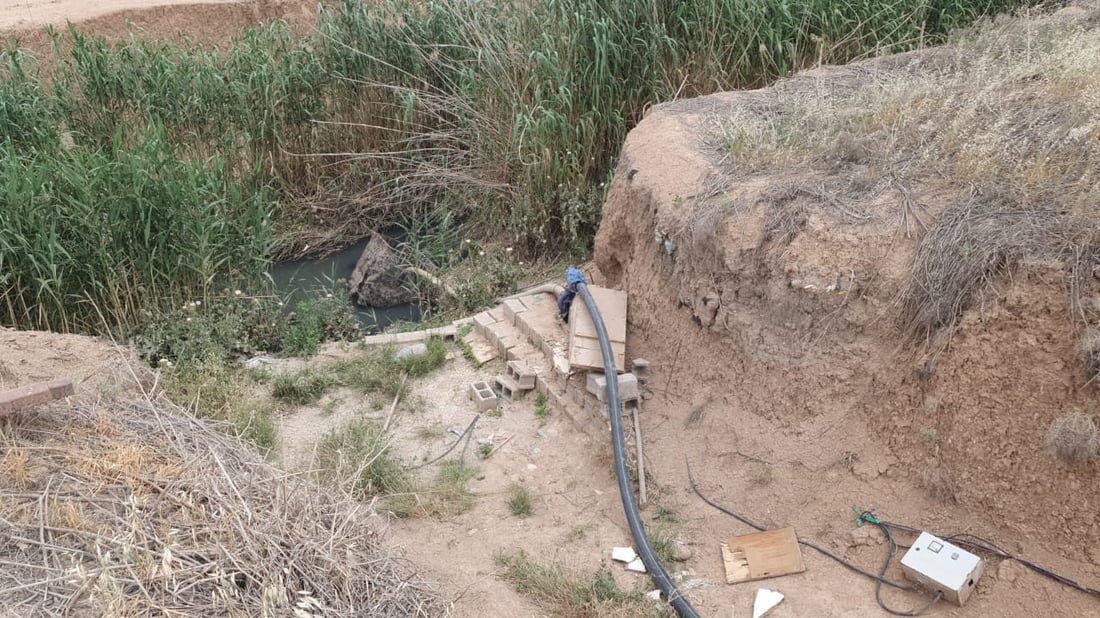 ئەو زەویانەی بە ئاوی پیس سەوزەی لێ بەرهەمدەهێنرێت پاک دەکرێنەوە