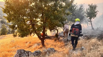 ئاگره‌كه‌ى چیاى ئاكرێ دواى كۆنتڕۆڵكردن سه‌ریهه‌ڵداوه‌ته‌وه‌