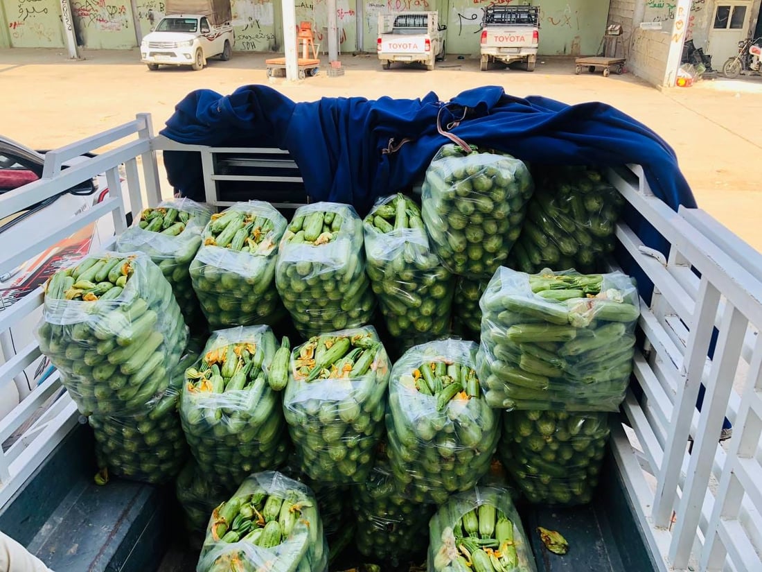 عه‌لوه‌ى ته‌قته‌ق پڕ له‌ به‌رهه‌مى خۆماڵى جوتیاران بووە