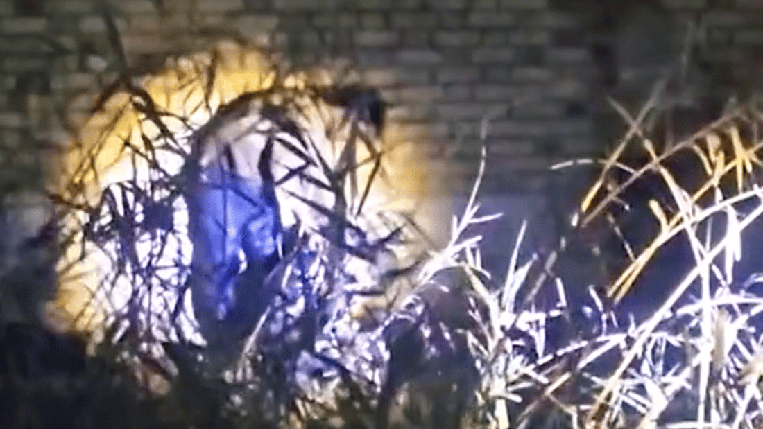 شاهد: اشتباك مسلح بين تاجر 