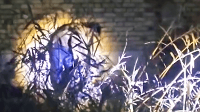 شاهد: اشتباك مسلح بين تاجر “كرستال” وشرطة البصرة