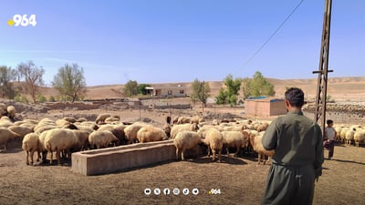 بەناوی خێرەوە ١٧ سەر ئاژەڵی براوە و پارەکەی نەبینیوەتەوە