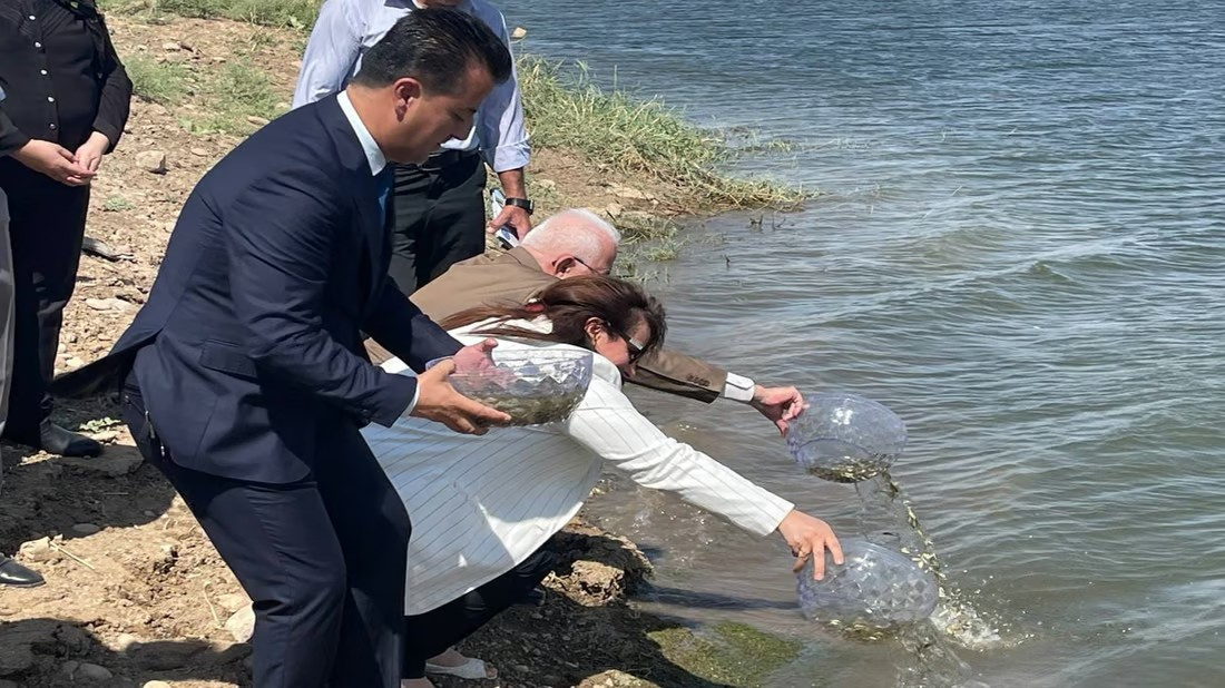Thousands of fish released into Erbil dam to boost farming