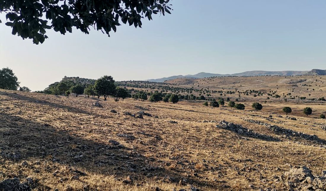 زیاتر له‌ شه‌ش ملیۆن دۆنم دارستانى سروشتى له‌ هه‌رێمی كوردستان هه‌یه‌