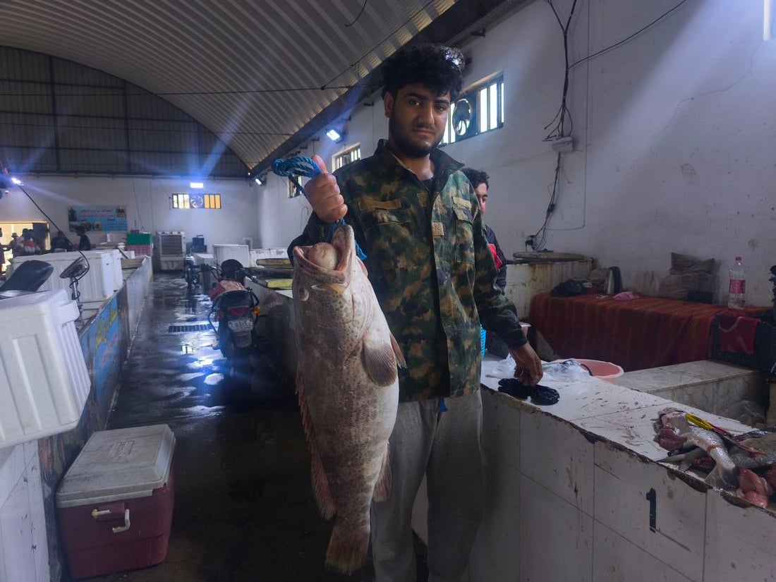 الصبور يشعل مزاد الفاو مبكراً.. الزوج 190 ألف دينار وإن لم يعجبك فالهامور والزبيدي