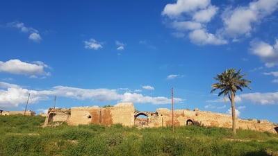 في تلعفر تطفو الفواكه على الماء وتجري الأنهار كالشلالات.. ربيع مبكر يجذب العوائل