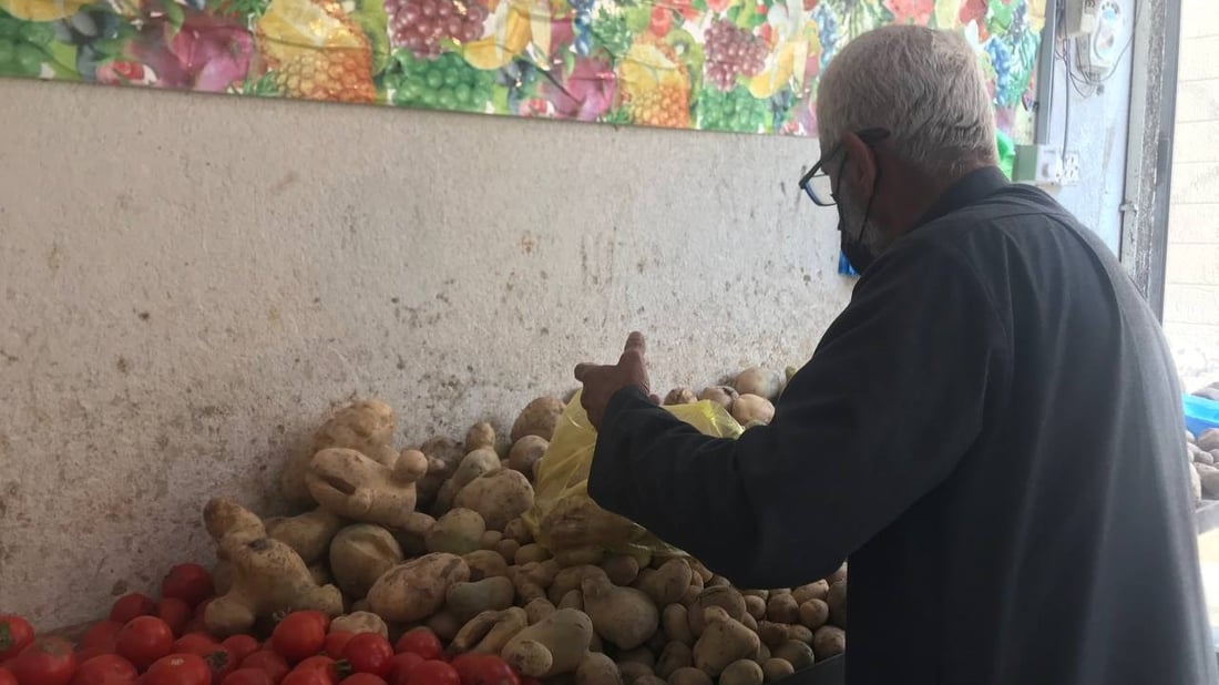 كردستان أبرز زبائن الزبير هذا الموسم.. إنتاج الطماطة غير مسبوق منذ 20 عاماً