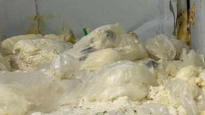 لە کارگەیەکی کەلار 15 تۆن پەنیری بەسەرچوو دۆزرایەوە