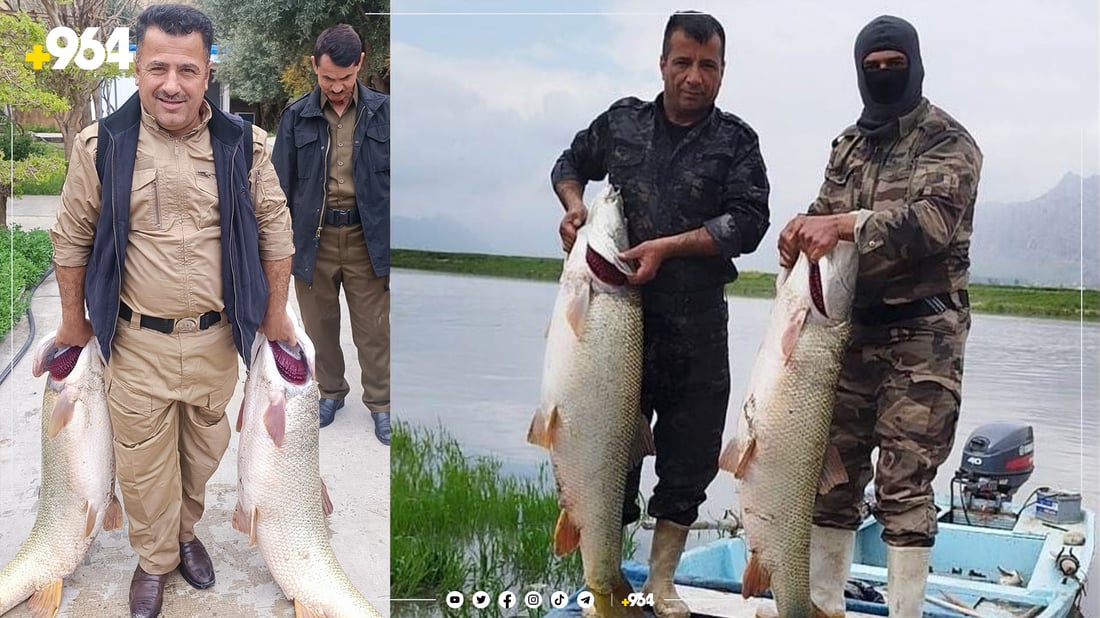 دوو ماسییە گەورەکە بوون بە نسیبی پۆلیسەکان