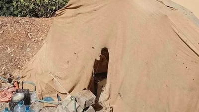 لەژێر خانووی پلاستیک بیریان هەڵدەکەند و ئاشکرا بوون