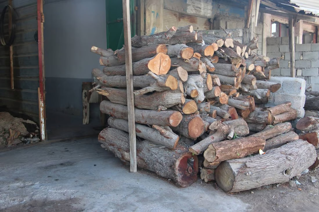 Firewood Market Flourishes in Karmat Ali Amid Winter Trips