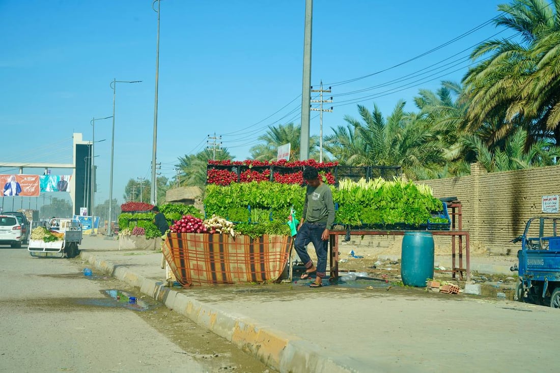 صور مبهجة: خضروات بعقوبة كلها من ديالى.. إنتاج المرادية وأم الكرفس يغطي كل شيء