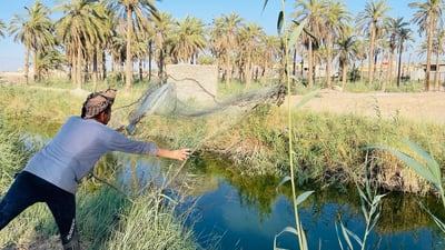 “سفاح” أنهار البصرة.. “البلطي” لا يموت بالصعقة ويعيش حتى في المجاري (صور)