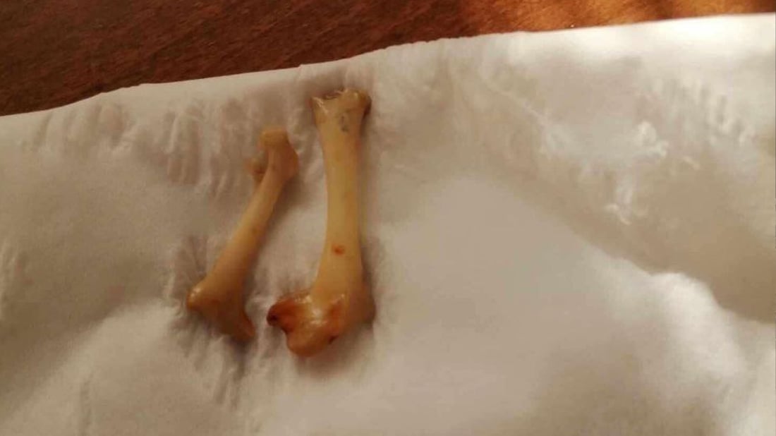 دوو پارچە ئێسک لە بۆری ئاوی ماڵانی كەلار بینراوە