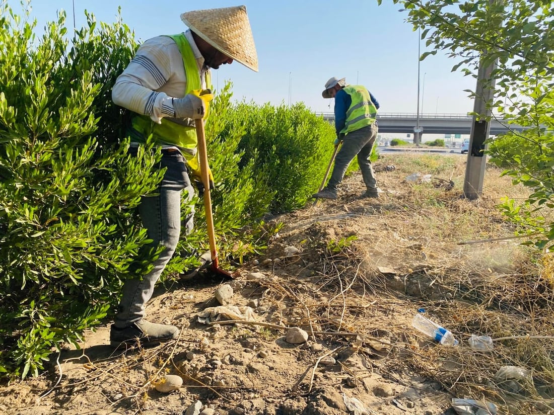 تیمی ئەندازەی پارکەکانی هەولێر ئەم بەیانییە بە چالاکییەکی زۆر دەستیان پێکرد