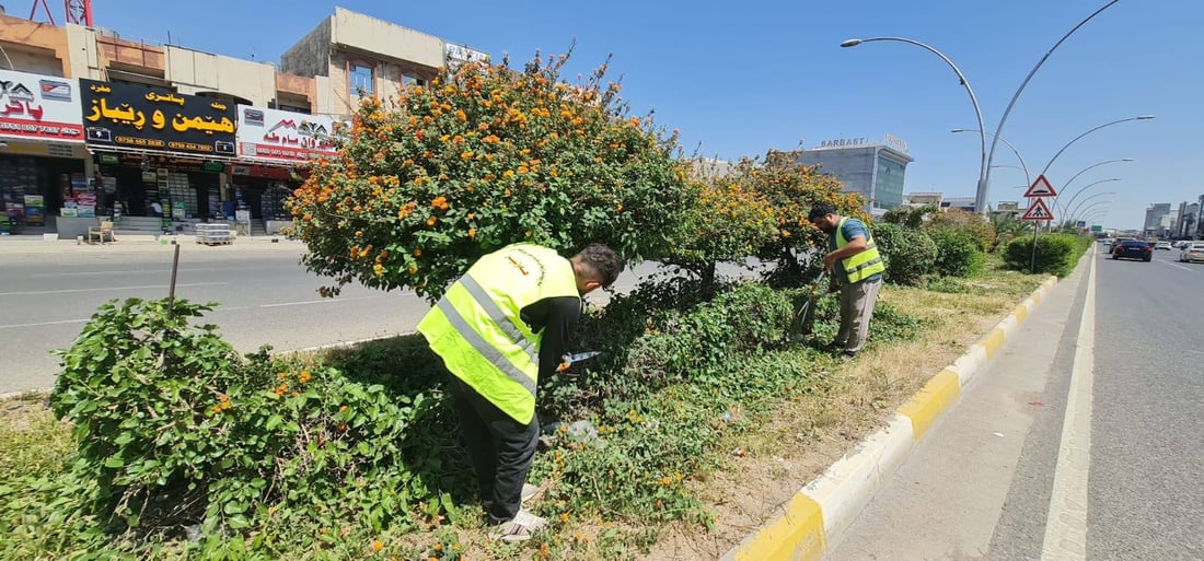 ئەو دار و درەختانەی شێوەی ئاژەڵ و باڵندە دەدەن رێکدەخرێنەوە