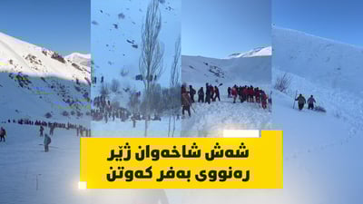 تەرمی چوار شاخەوانی دیکە لە بانە دۆزرانەوە کە ژێر رەنووی بەفر کەوتن