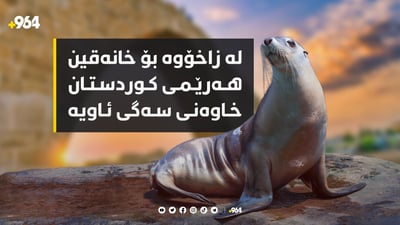 سەگی ئاوی لە زاخۆش دەرکەوت