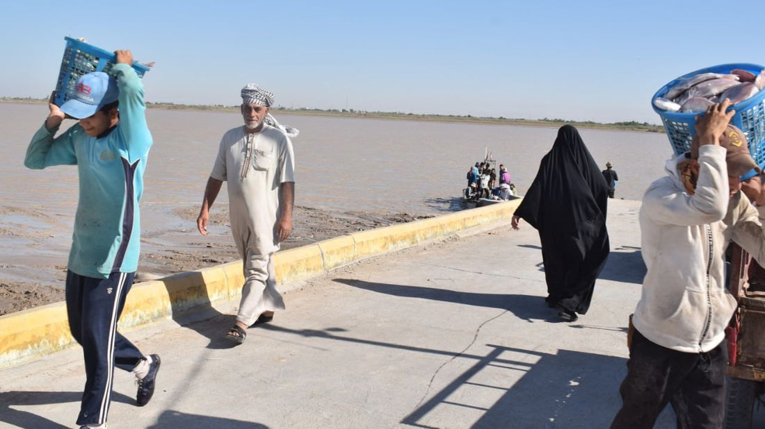صور: الفاو تتباهى بصيد البحر.. سمكة هامور بوزن 35 كيلو تخطف الأنظار في مزاد النقعة