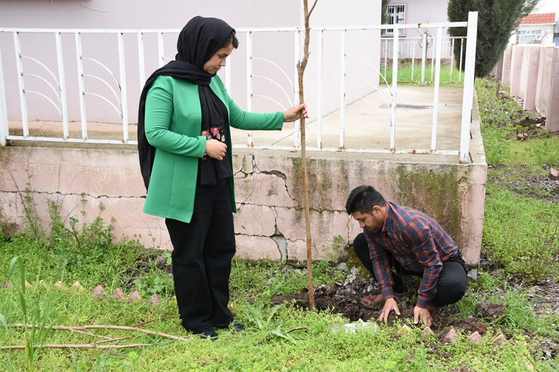 خاوەن مۆلیدەیەک 13 نەمامی بۆ باخچەیەکی منداڵان دابینکرد