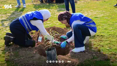 نەتەوە یەکگرتوەکان لە هەولێر 500 داری چاند