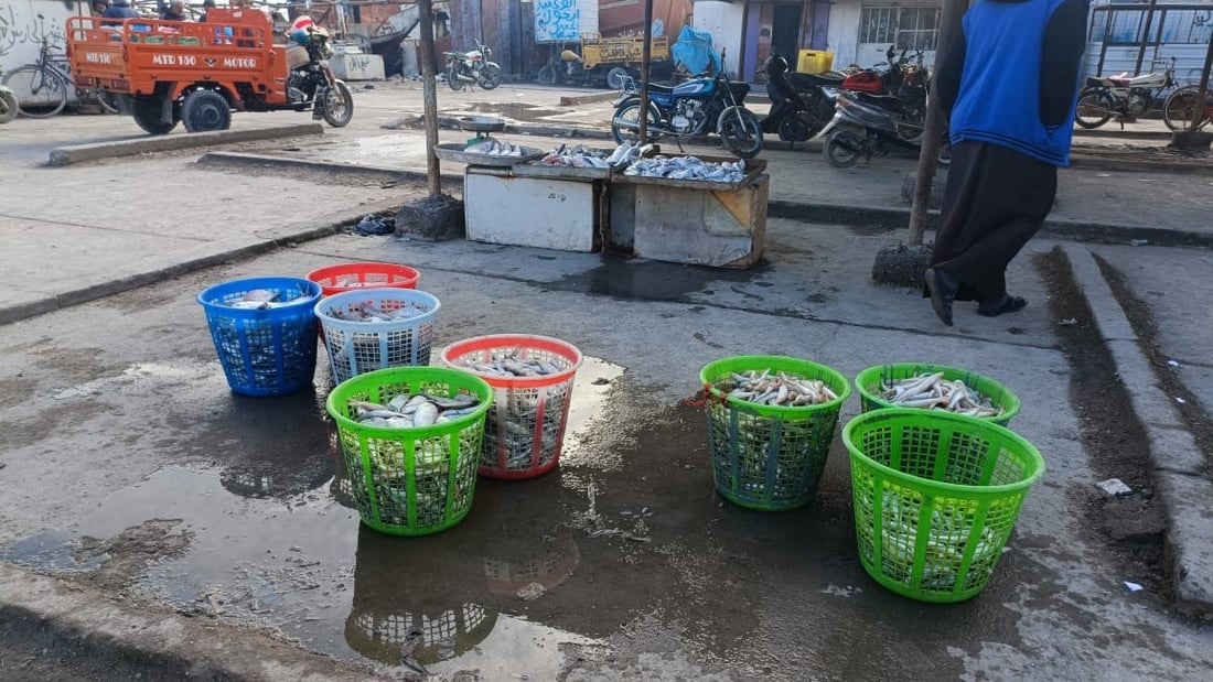 أمواج البحر العالية تمنع إبحار الصيادين مجدداً.. أسعار السمك في مزاد الفاو